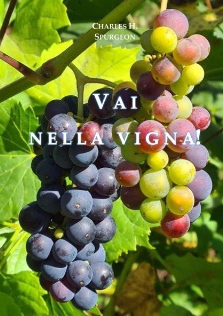 Vai nella Vigna!